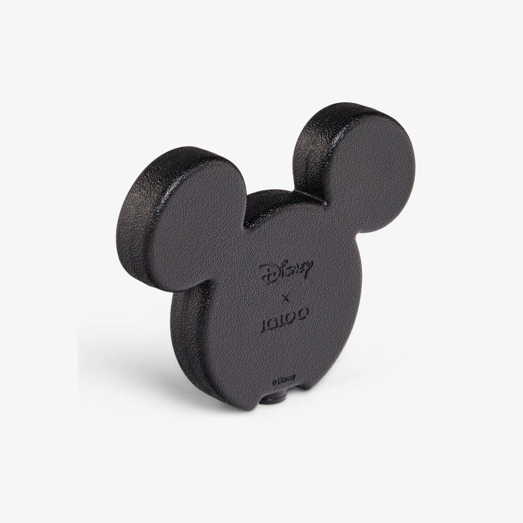 Disney Mickey Mouse Ice Block 2-Pack - Black - Product View
