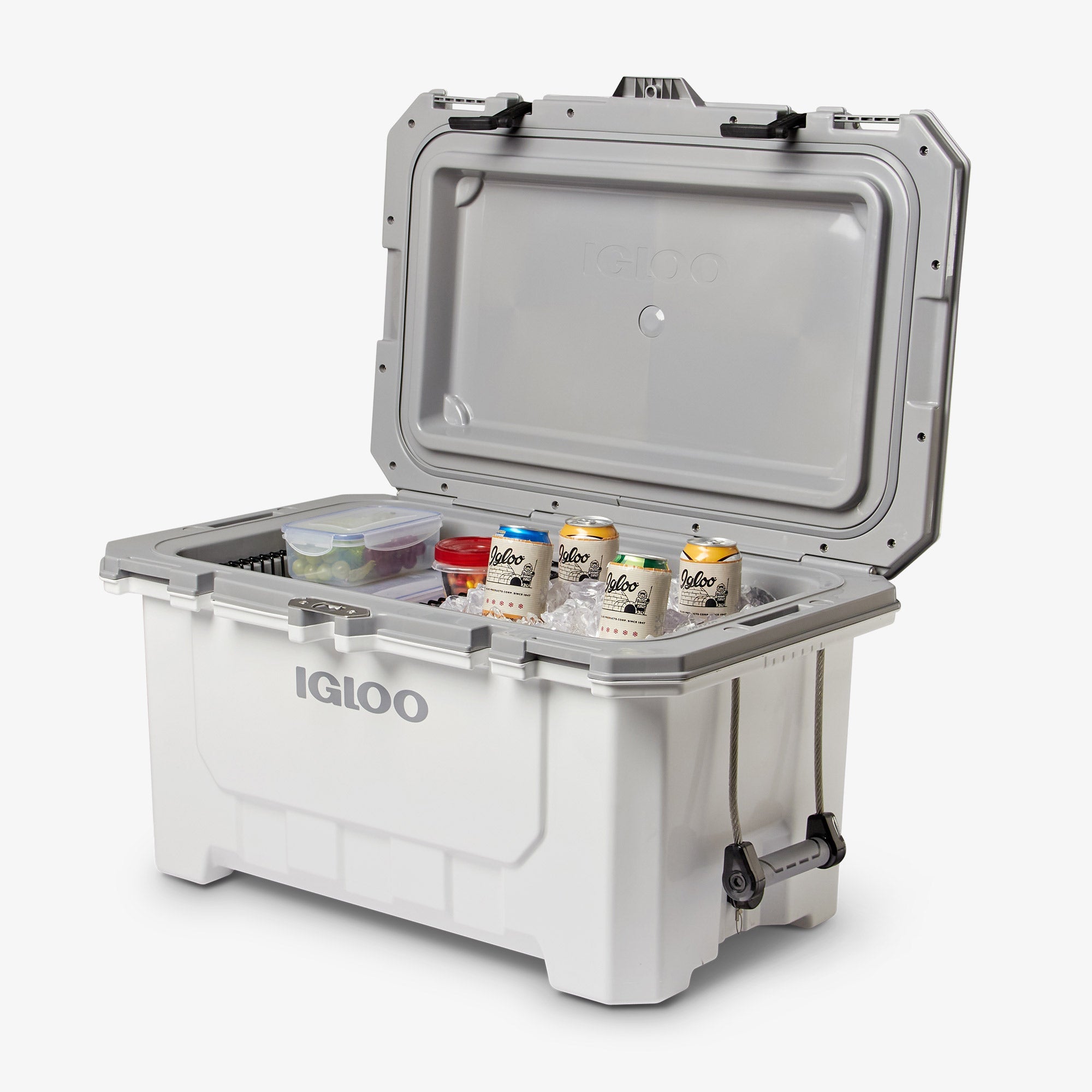 IMX 70 Qt Cooler - White - Product View